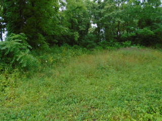 816 Jackson Ave, Snowville, VA 24301-6718