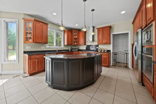 12465 Thornberry Dr, Lemont IL  60439-4616 exterior