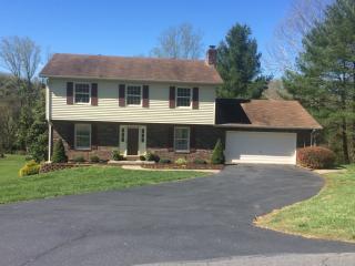 233 Westover Dr, Oaklevel, VA 24055-5979