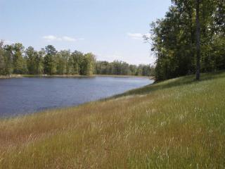 1470 Wrightsville Church Rd, Reynolds Plantation, GA 30642-3408