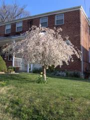 1666 Mussula Rd, Baltimore MD  21286-2345 exterior