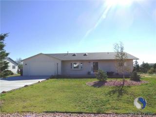 9945 Litchfield St, Amo, CO 80831-6843