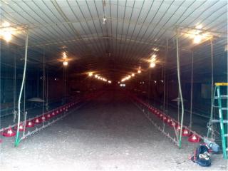 705 County Road 2641, Lamar, AR 72846-7521