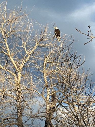 14955 58 Pl, Denver CO 80403-1290 exterior