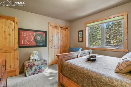 133 Elk Grove Ln, Woodland Park CO 80863-9171 exterior