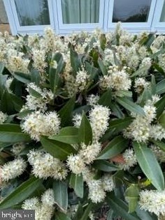 2904 Craiglawn Rd, Silver Spring MD 20904-1819 exterior