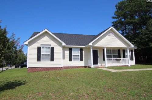101 Spring View Ct, Lexington, SC 29072-4109