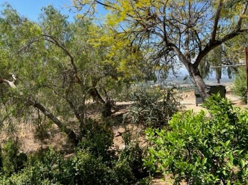 2270 Mt Vernon Ave, Riverside CA  92507-4624 exterior