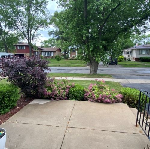 949 Bowling Green Dr, Homewood, IL 60430-4161