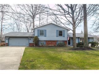 9306 Sunnyvale Ct, Concord Township, OH 44060-7337