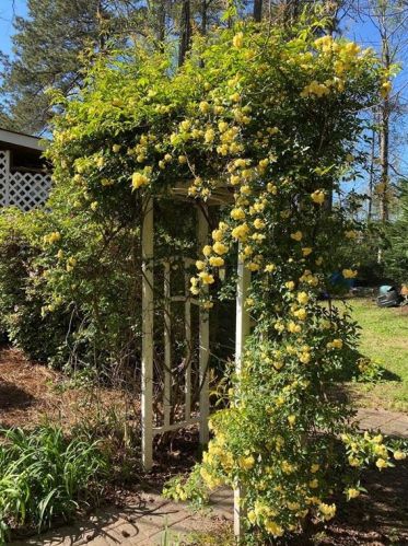 3380 Concord Cor, Conyers GA  30013-2374 exterior