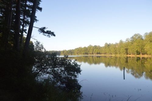 152 Strickland Rd, Attapulgus, GA 39815-2030
