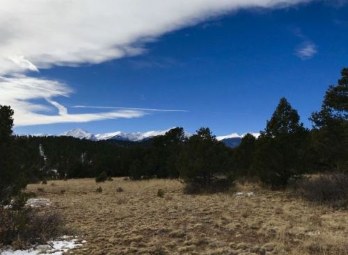 1500 Pheasant Loop, Horn Creek, CO 81252