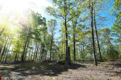 1075 Blount Rd, Meansville, GA 30256-2327