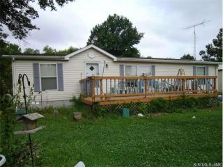 295 Chamness Rd, Chamnesstown, IL 62932-2422