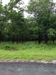 6072 Indian Hills Rd, Talala, OK 74080-9635