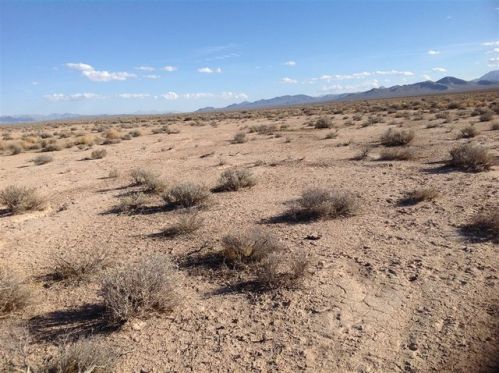 2 Old Spanish Trail Hwy, Tecopa Hot Springs, CA 92389