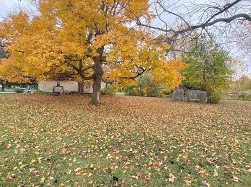 652 Summer St, Paxton, IL 60957-1745