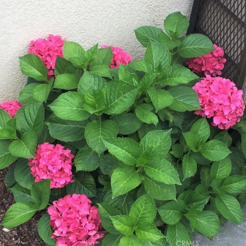 17617 Cedarwood Dr, Riverside CA  92503-7038 exterior