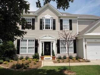 305 Cotton Bay Way, Simpsonville, SC 29681-4377