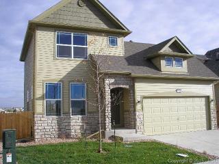 7688 Sniktau Pt, Amo, CO 80831-4508