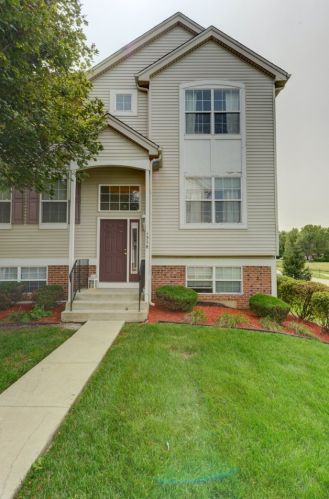 1358 Fox Hound Trl, Sollitt, IL 60401-5104