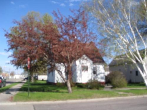 201 17th St, Benson, MN 56215-1117
