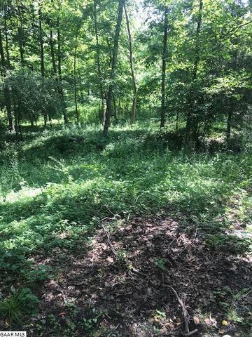165 Center Ave, Craigsville, VA 24430-2313