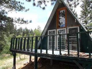 234 Berylium Rd, Twin Rock, CO 80816-9208