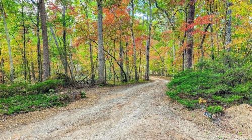465 Waters Edge Dr, Clarkesville, GA 30523-2880