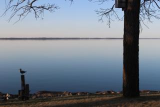 33081 Moose Dr, Ottertail, MN 56571-9412