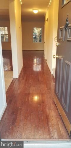 4311 Greenberry Ln, Annandale, VA 22003-7100
