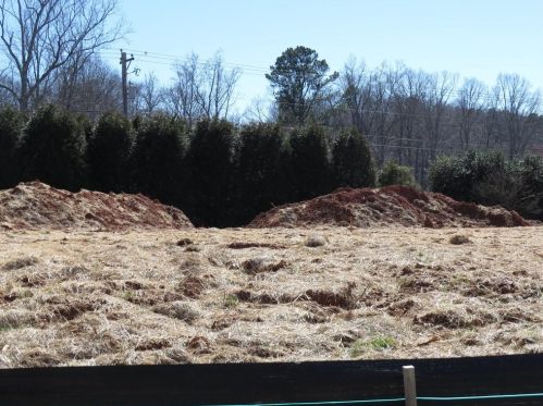 8535 Hightower Rdg, Ball Ground, GA