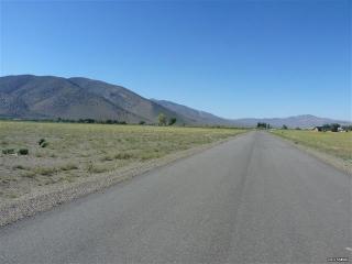 105 Artesia Rd, Wellington, NV 89444-9564