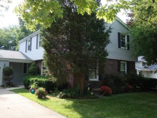 1529 Shenandoah Ln, Naperville IL  60563-1419 exterior