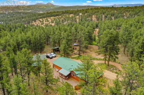 481 Blue Mountain Dr, Twin Rock, CO 80816-9403