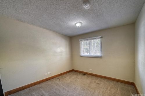 909 Diamond St, Leadville CO 80461-3703 exterior