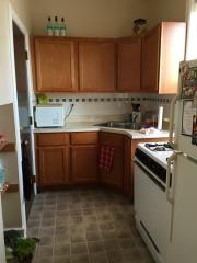 5479 Everett Ave, Chicago IL  60615-5953 exterior