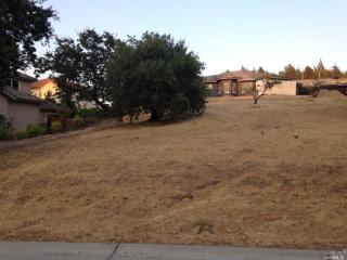 2055 Zinfandel Ct, Vacaville, CA 95688-2829