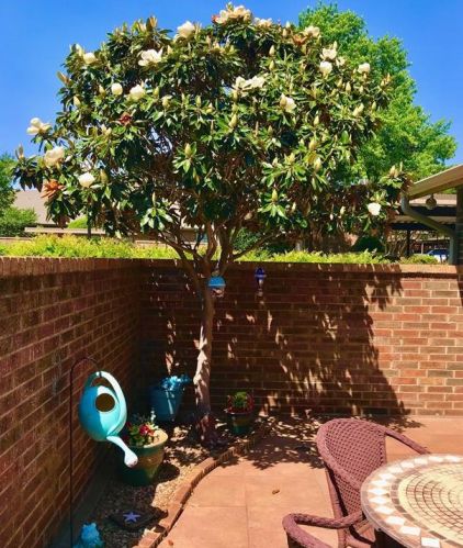 1003 Riverchase St, Fort Worth, TX 76126-2739