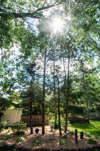 9063 Duckwood Trl, Saint Paul MN  55125-8687 exterior