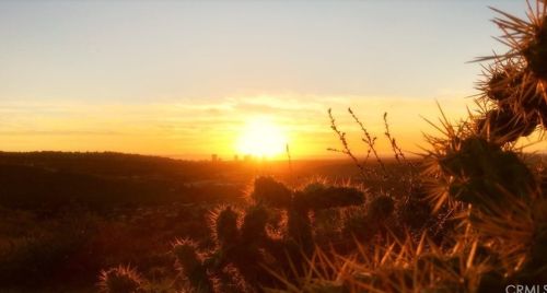 75 Highland Vw, Irvine CA 92603-3704 exterior