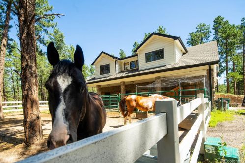 5014 Perry Park Rd, Deckers CO 80135-8209 exterior