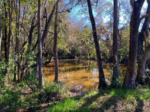 182 Dorough Rd, Cordele, GA 31015-5909