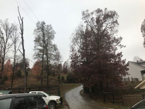 102 Salem Rd, Hohenwald, TN 38462-2442