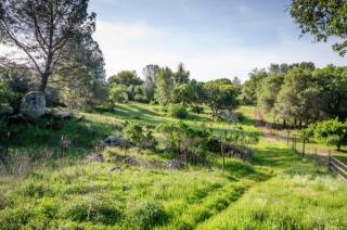 1550 Kellogg St, Newcastle, CA 95658-9375