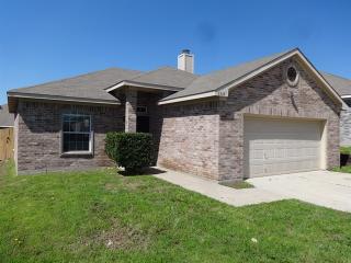 6345 Bay Lake Dr, Fort Worth TX  76179-4186 exterior
