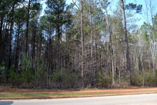146 Aston Hall, Macon, GA 31210-1400