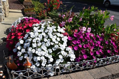 954 Mulberry St, Trenton NJ  08648-4524 exterior