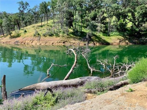 1 Lynch Canyon Rd, Lake Nacimiento, CA 93426